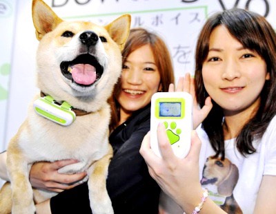 27. Bow Lingual Bark Translator
Ever wonder what your dog is saying?  The Bow Lingual gives you an accurate translation of what your dog’s bark means. It also comes with a guide to interpreting your dog’s body language to help you keep your pet happy and healthy.
$74.99