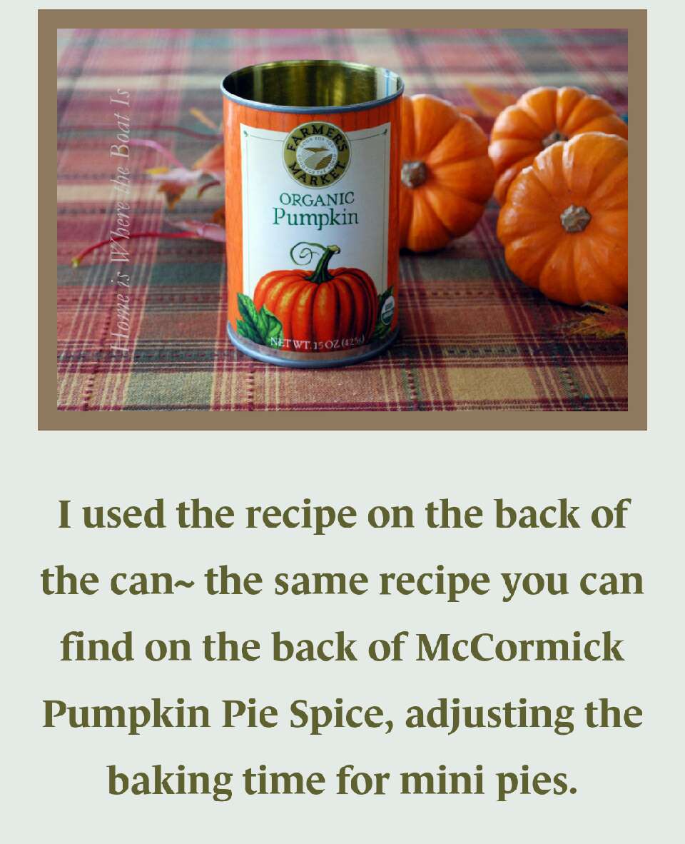 Mini Pumpkin Pies!!!