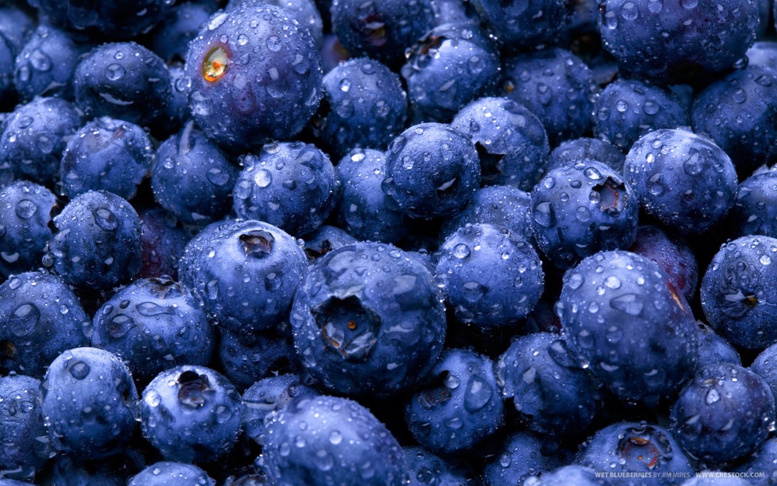 ✎ eating blueberries helps reduce belly fat, plus they are very healthy and good for your body. __ 