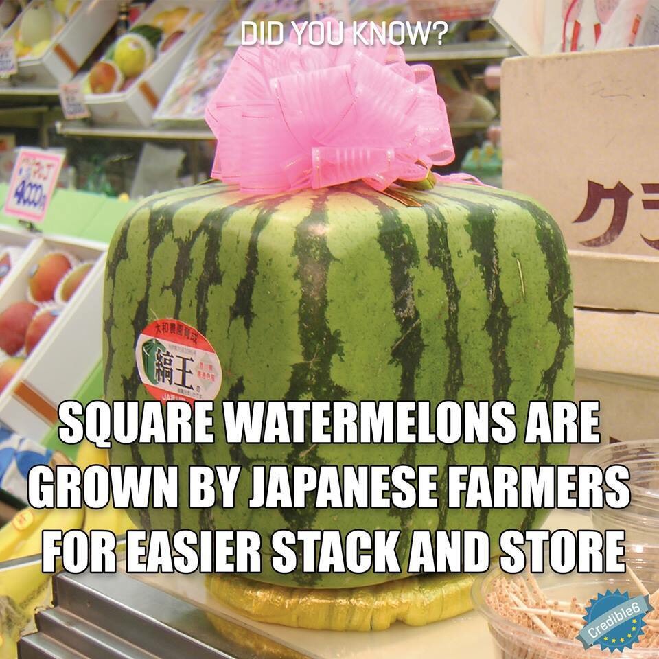 Fun Food Facts. 😊