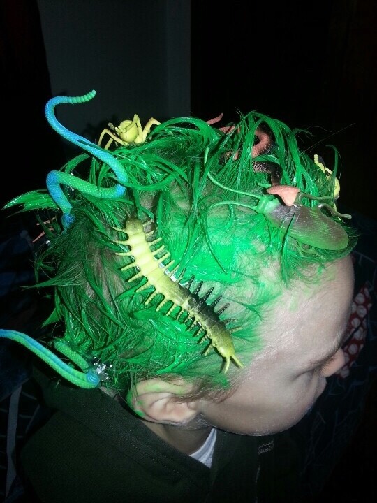 Crazy Hair Day Ideas 