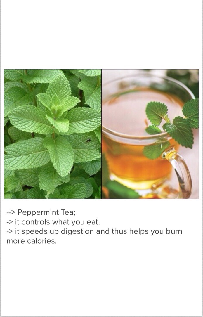 Top 10 Teas That Boost Your Metabolism Also For Best Weight Loss