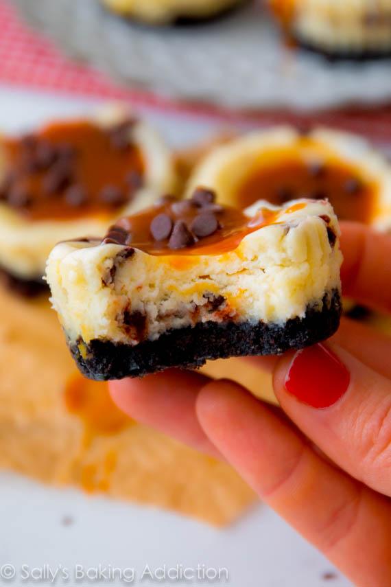 Salted Caramel Chocolate Chip Cheesecakes