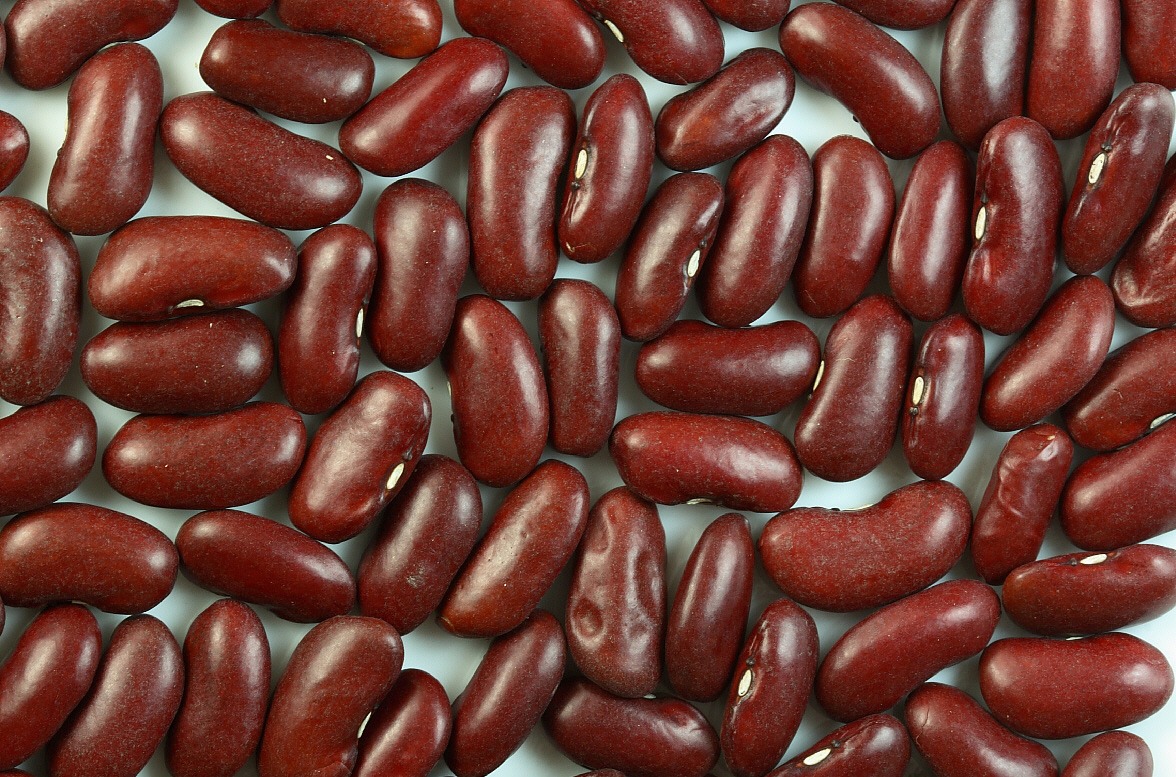 9) Beans: Black Beans, navy beans and lima beans all have 6 or more grams of fibre per 1/2 cup. Fibre can clean your system of pounds of "toxic" waste.