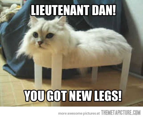 Funny Cat Pics.
