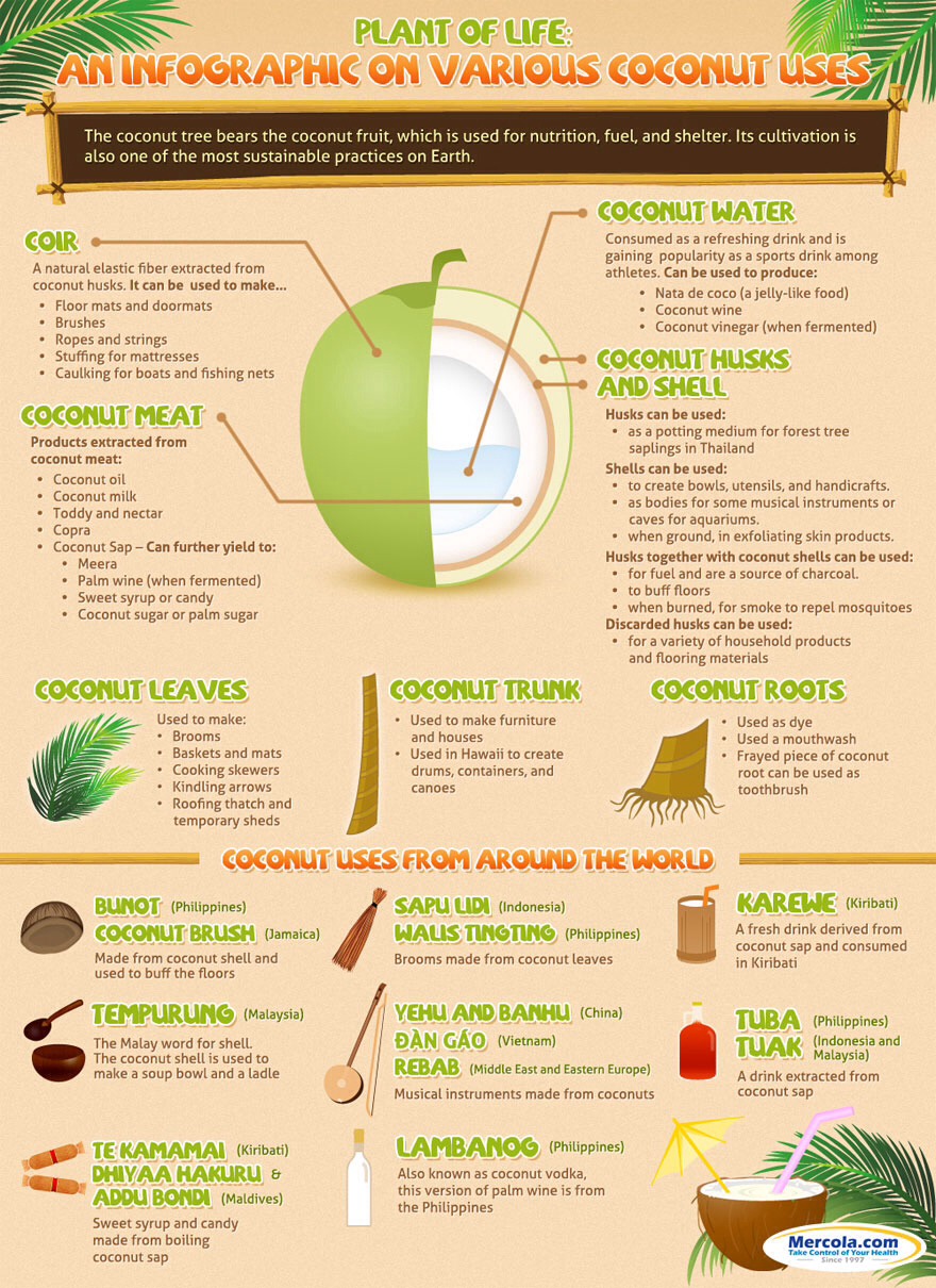 Health Benefits Of Coconuts