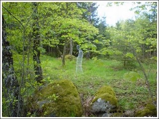 Make Easy Transparent Ghostly Figures In Your Yard