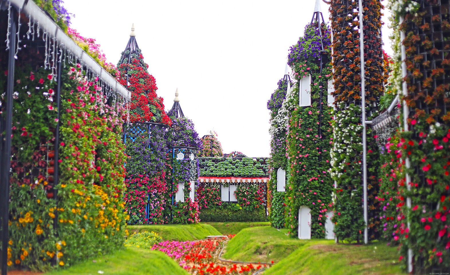 Amazing Places To Visit 