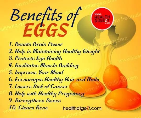 eggs are a great filler. Poached eggs on toast is a great breakfast and can start you day with energy.