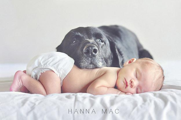 Newborns First Photo Shoot Ideas!!!!!!!!!!!!!!Really Cute!!!!!!!!!!!