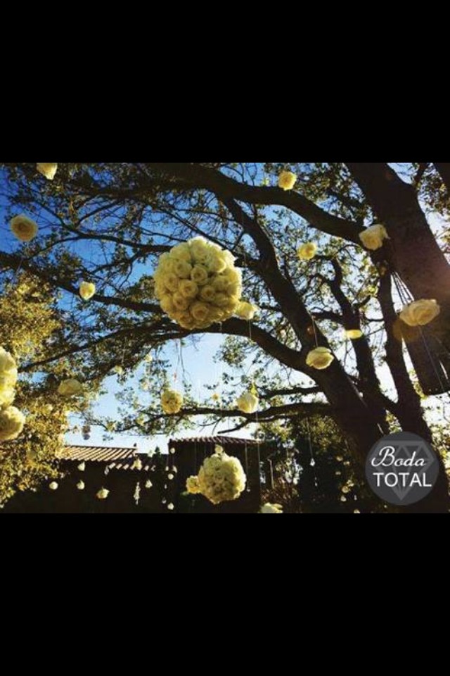 Wedding Idea✌💖