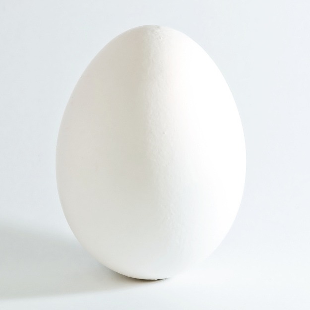 1 egg white