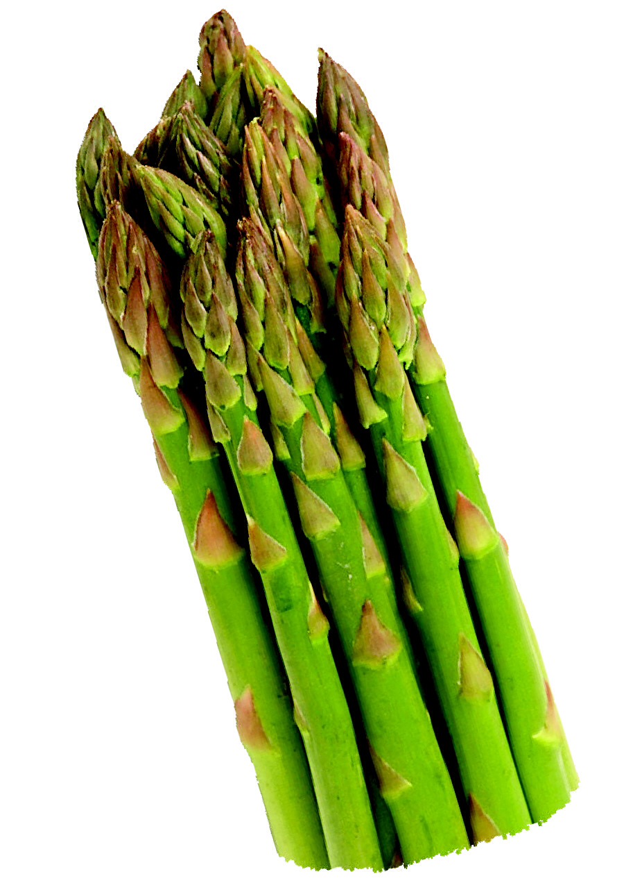 Top 10 Cellulite-Busting Foods!