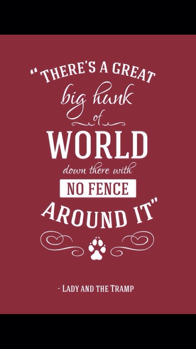 Disney Quotes 👑