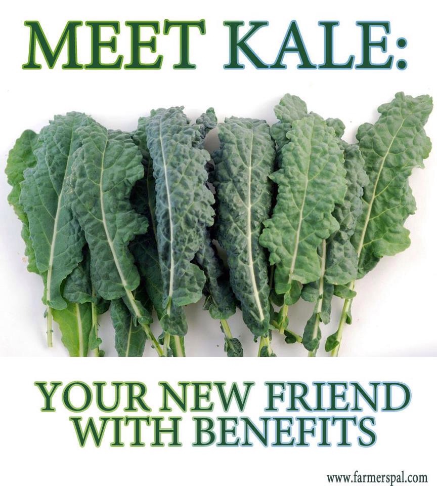 Kale is a vegetable that we havent been properly introduced to. This is known to be really healthy and also a fat burner too.