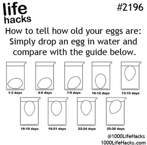 Interesting Life Hacks, Facts, And Tips