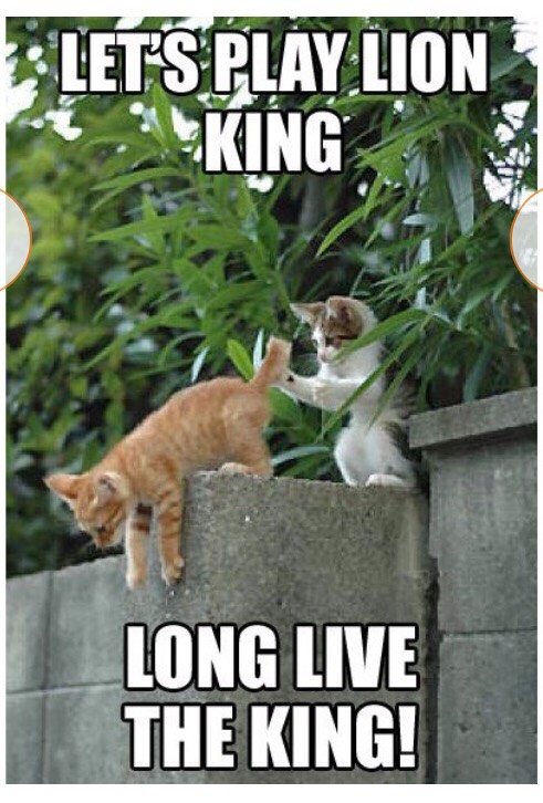 Hope this made you smile!

~Amanda Alcala