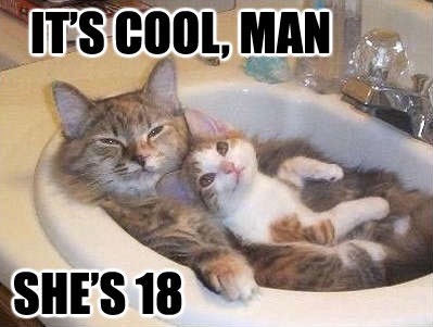 Funny Cat Pics.