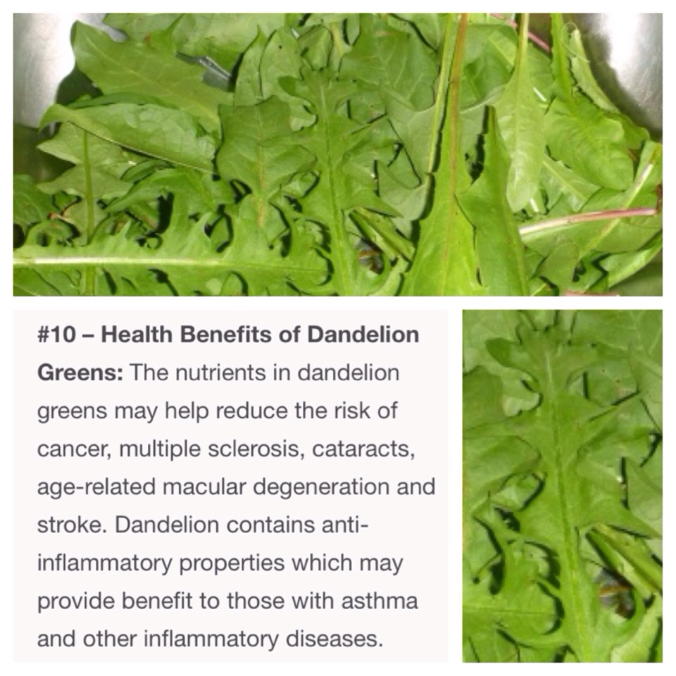 10 Reasons You Should Use Dandelion Greens In Your Green Smoothie Or Just In Salads 