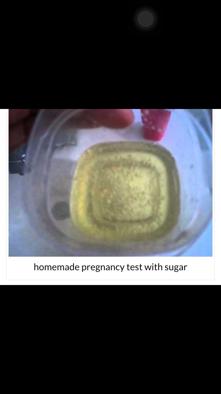 10 Homemade Pregnancy Tests (Accurate Results)
