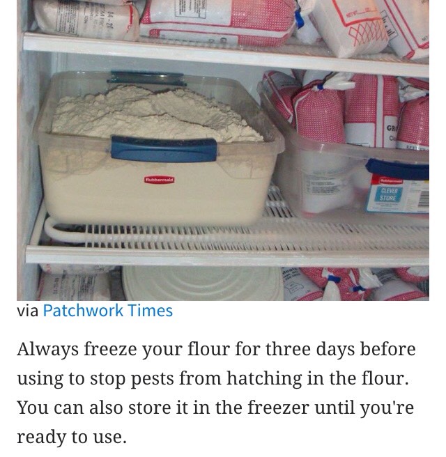 26 Things You Can Freeze To Save You Time & Money 👌👌