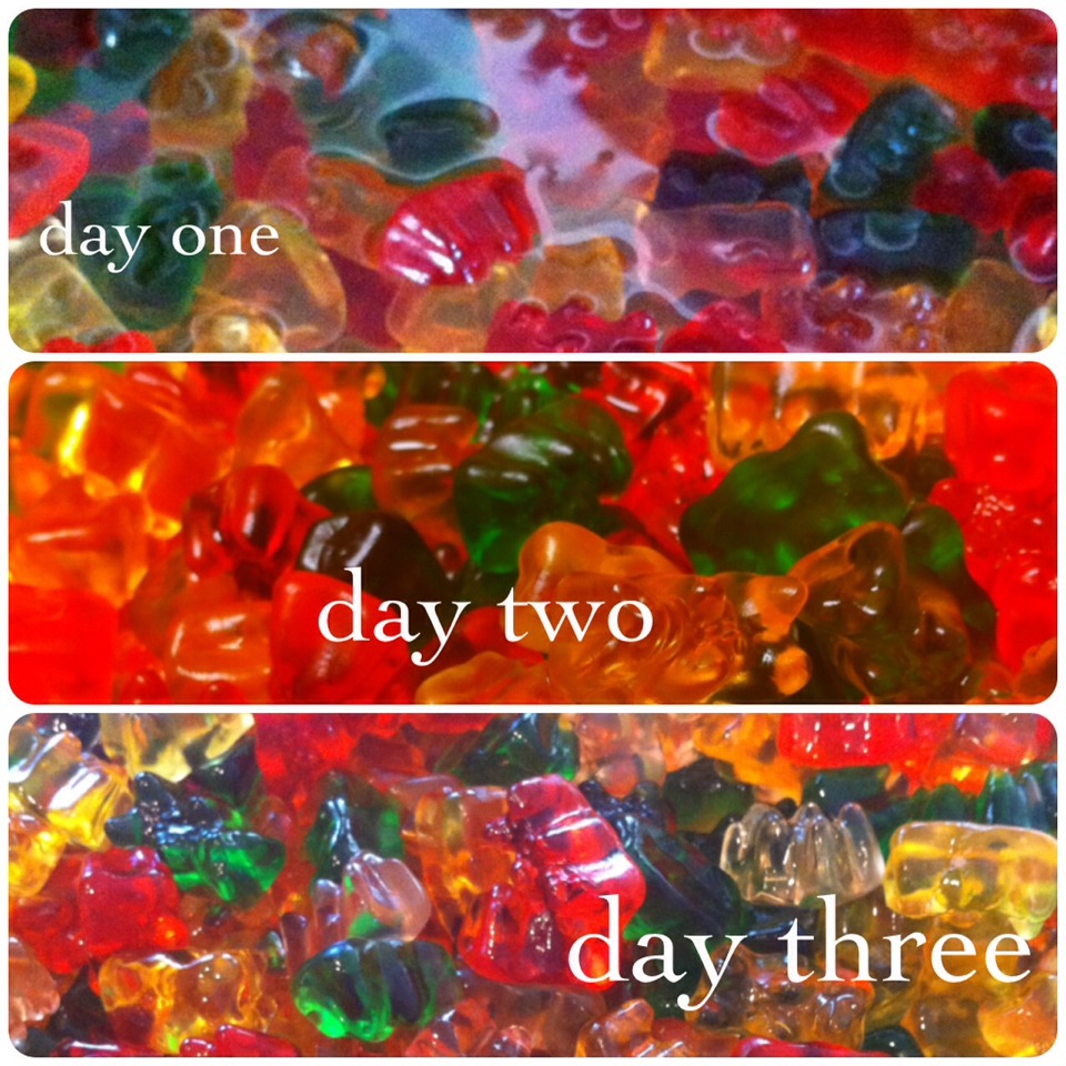 DRUNK GUMMY BEARS!! Buy Lots Of Bags Of Gummy Bears, A Large Bowl, And A Bottle Of Vodka. 