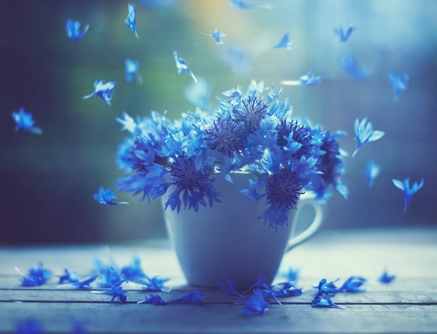 Beautiful Photography