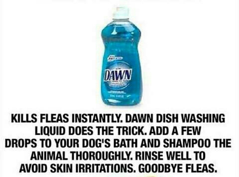 Safe Remidies for Everything for Humans to Pets!! 