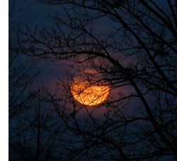 Harvest Moon