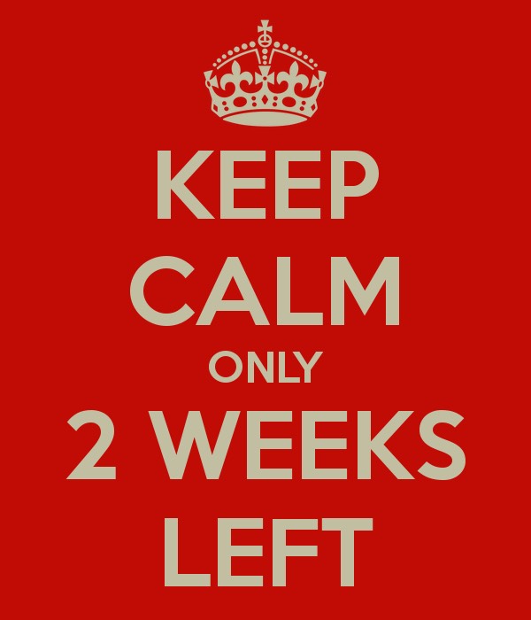 2 Weeks to an ABSolutely Amazing Core