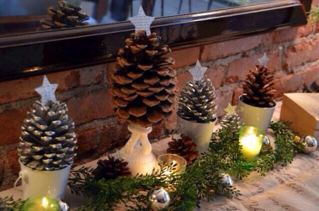 Pine tree