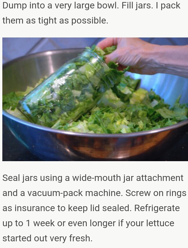 NO HASSELL 2GET FRESH LETTUCE 4 SALAD SAV AT HOME 4MANY DAYS (worth a try)