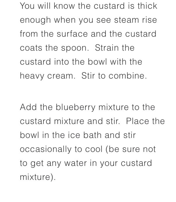 Creamy Blueberry Ice Cream 