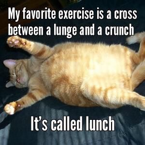 Hope this made you smile!

Amanda Alcala