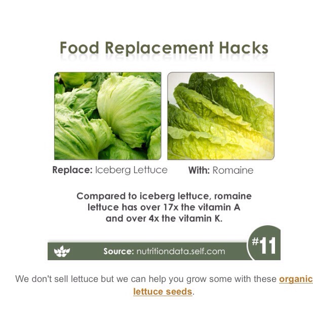 Healthy Alternative Food Replacement Hacks. You'll Feel Better Inside & Out Once You Do.