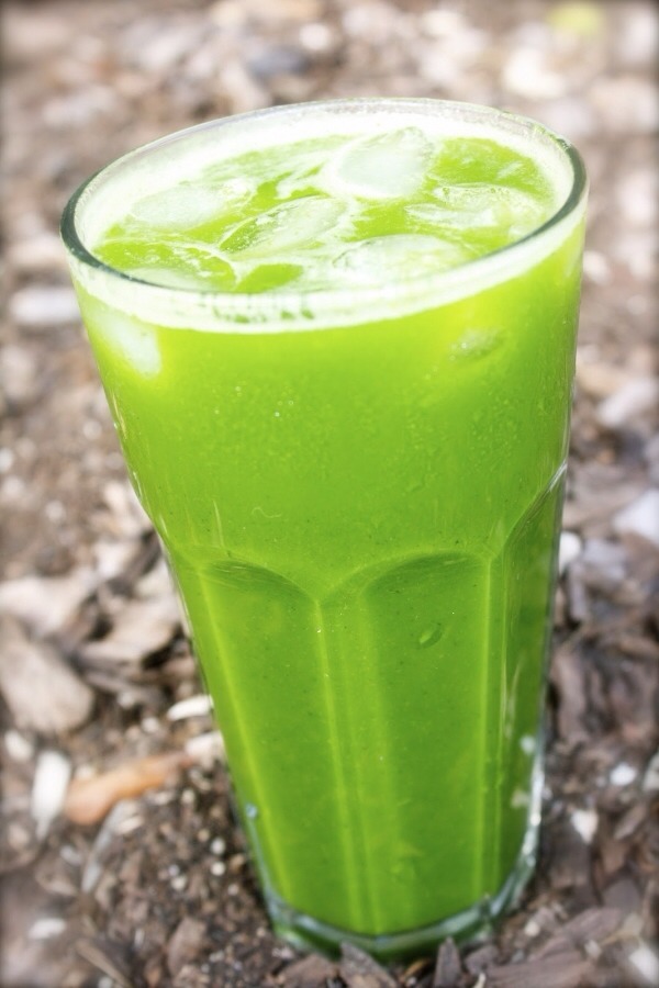 Go for green
When making a detox drink, you want to focus on greens in your drink above fruit, whether in a juice recipe or a smoothie. Fruit is healthy but high in sugar, and can mess with your blood sugar levels. Greens are what will really help your body to detox, and support you with nutrition.