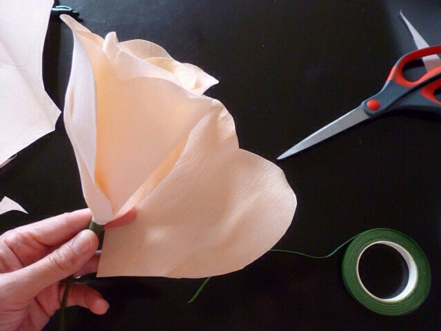 Crepe Paper Flowers:) 