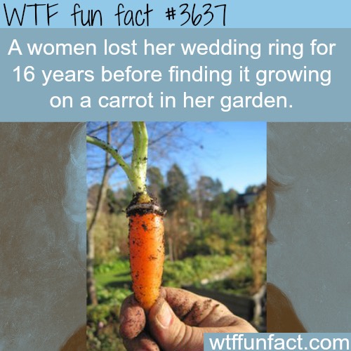 Fun Fact About Women 😱👍💯