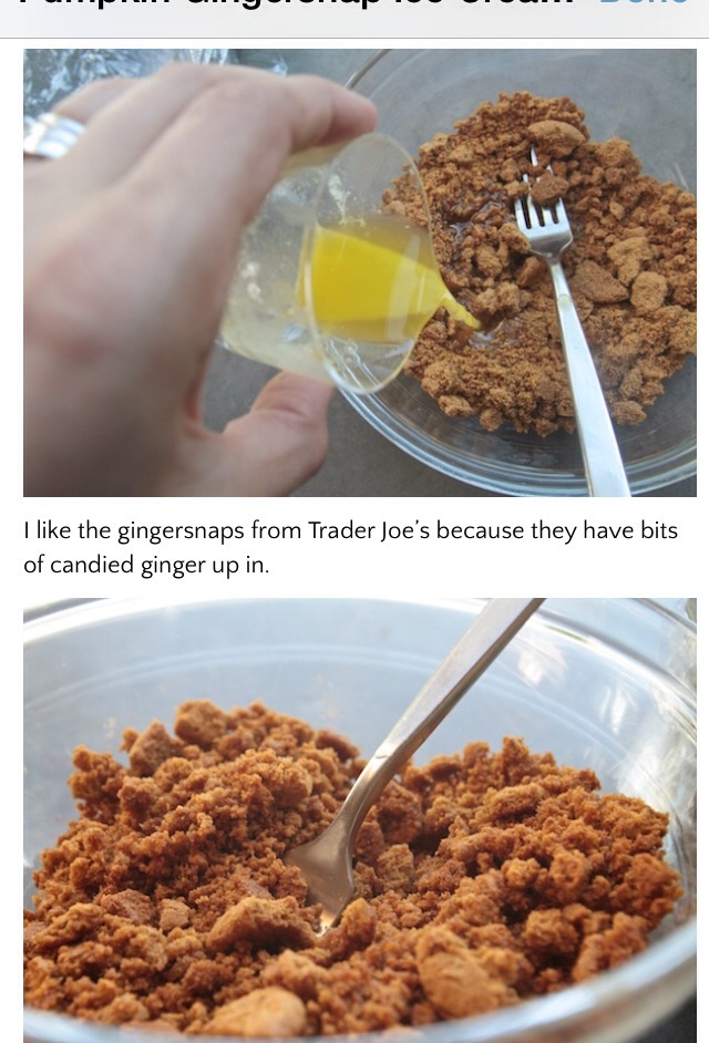 Pumpkin Ginger snap Ice cream