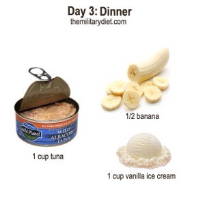 1 cup of tuna
1/2 banana
1 cup of vanilla ice cream