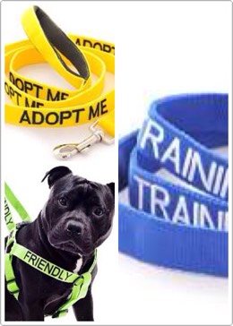5. Color coded leashes
$19.99
Not all dogs are friendly and you don’t want to be constantly reminding strangers to not pet your dog on the head. Warn them by putting the appropriate leash on