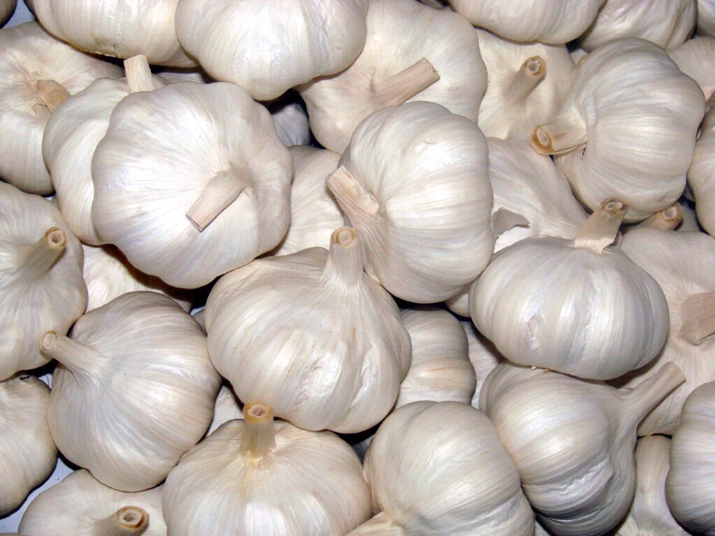 Remove all cloves from the bulb then whack each clove with the side of a chef’s knife. The skin will fall right off.