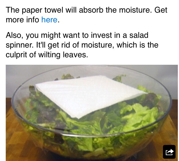 Keep Your Salad Fresh For A WEEK!! 🌹Try This Easy Step🌹
