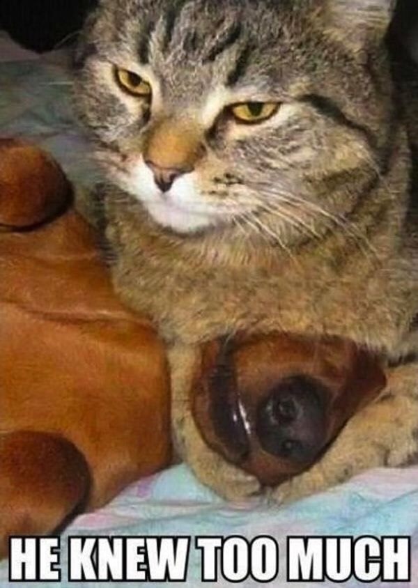 Hope this made you smile!