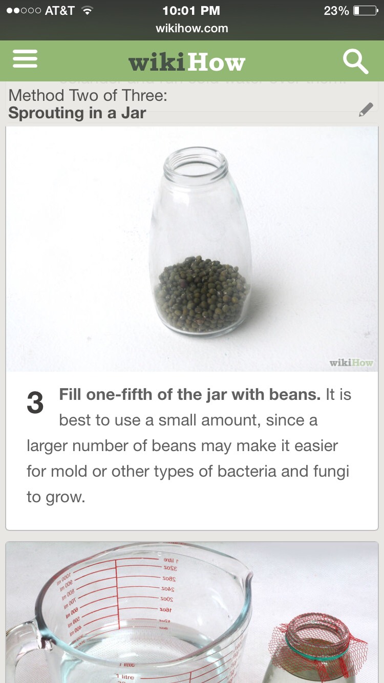 Grow Your Own Mung Sprouts- Super Easy, Super Fast, And Super Healthy! 