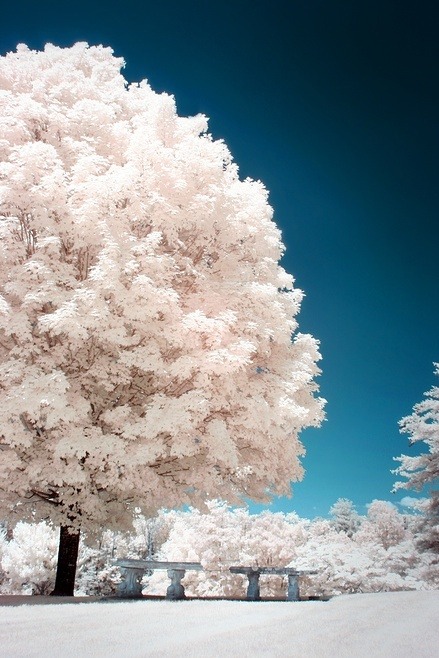 Beautiful Photography