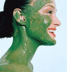 Matcha Tea Mask 1 tsp. Matcha Green Tea Few drops of Water or Aloe Vera Gel Put Matcha Green Tea into a small bowl and slowly add water or aloe vera gel. You don’t want to add too much liquid or it won’t stay on your face. Aim for a thicker consistency than thinner. Apply to clean face and leave on