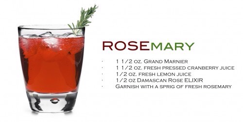 Cocktail  Recipes  