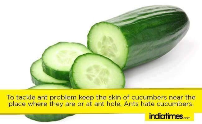 Kitchen Hacks! 
