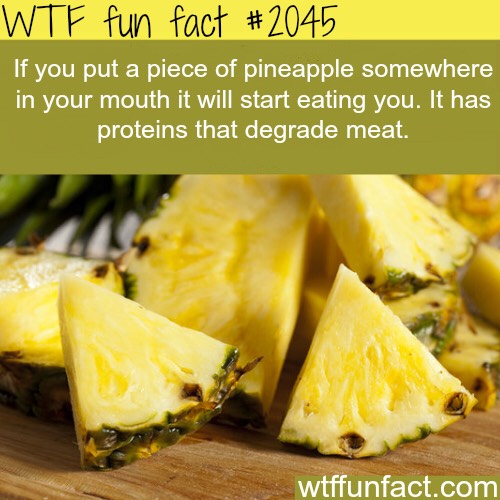 Fun Food Facts. 😊